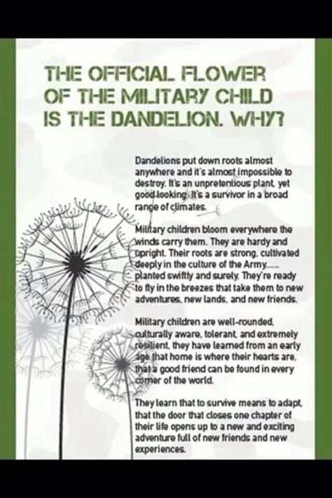 The dandelion is the represents military brats - a subsection of the TCK population.  It symbolizes their resilience and ability to take root wherever they move - something that fits the other TCKs as well. [HLT] Military Child Month, Military Brat, Army Brat, Airforce Wife, Military Retirement, Navy Life, The Dandelion, Military Kids, Navy Wife