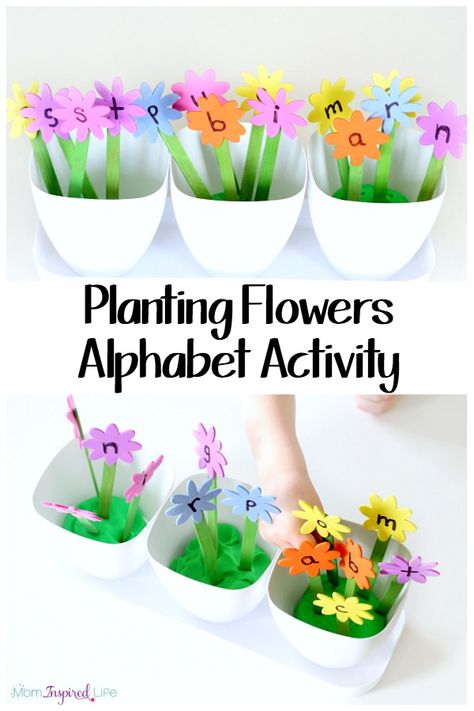 This planting flowers alphabet activity is such a fun way for kids to learn letters and letter sounds! Plus, kids can practice counting, colors, sorting and more! Plant Investigation, Mouse Template, Mickey Mouse Template, Alphabet Activity, Learn Letters, Plant Activities, Preschool Alphabet, Letter Identification, Spring Preschool