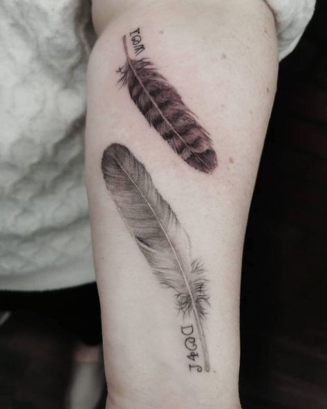 Hawk Feather Tattoo, Feather Tattoo Ideas, Red Tail Hawk Feathers, Owl Feather Tattoos, Phoenix Feather Tattoos, Eagle Feather Tattoos, Hawk Feather, White Hawk, Hawk Feathers