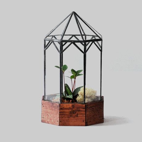 Wardian Case, Pyramid Roof, Modern Terrarium, Large Terrarium, Diy Gazebo, Glass Png, Terrarium Containers, Plant Propagation, Great Wedding Gifts