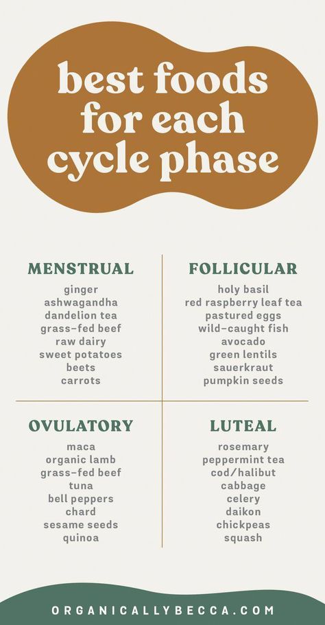 What is Cycle Syncing? How to Balance Your Hormones & Best Foods to Eat for Each Phase! Women's health, menstrual cycle, FAM, fertility awareness method, cycle tracking, nutrition to support your menstrual cycle, holistic health, wellness, follicular, ovulatory, luteal, lifestyle, workouts, balance hormones naturally, seed cycling, flo, period phases, PMS symptoms, PMS remedies, herbs, adaptogens #NaturalRemediesForChestyCough Period Phases, Quinoa Squash, Hormone Nutrition, Cycle Tracking, Fertility Awareness Method, Seed Cycling, Raspberry Leaf Tea, Red Raspberry Leaf, Dandelion Tea