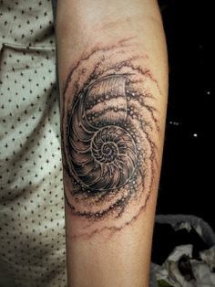 Fibonacci Spiral Tattoo, Nautilus Tattoo, Golden Ratio Tattoo, Sea Life Tattoos, Fibonacci Tattoo, Negative Space Tattoo, Spiral Tattoos, Seashell Tattoos, Shell Tattoos