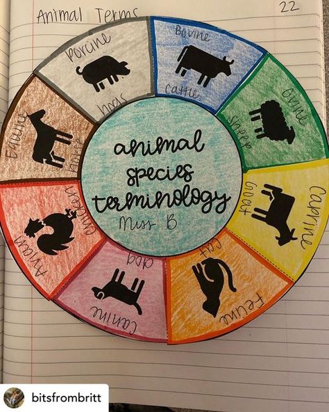 Animal Identification Activities, Ag Science Projects, 4h Vet Science Project Ideas, Agriscience Lessons, Vet Science Activities High School, Principles Of Agriculture Activities, Middle School Agriculture, Agriculture Lessons For Kids, Ag Teacher Lesson Plans