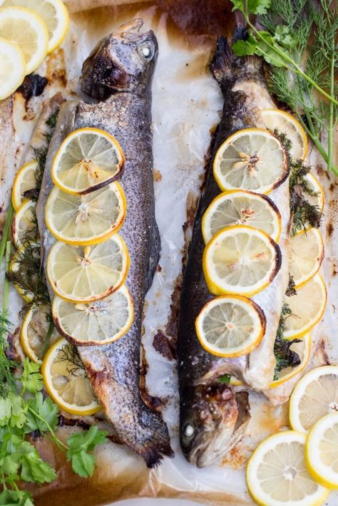 Lemon-herb Baked Trout Recipe - Momsdish