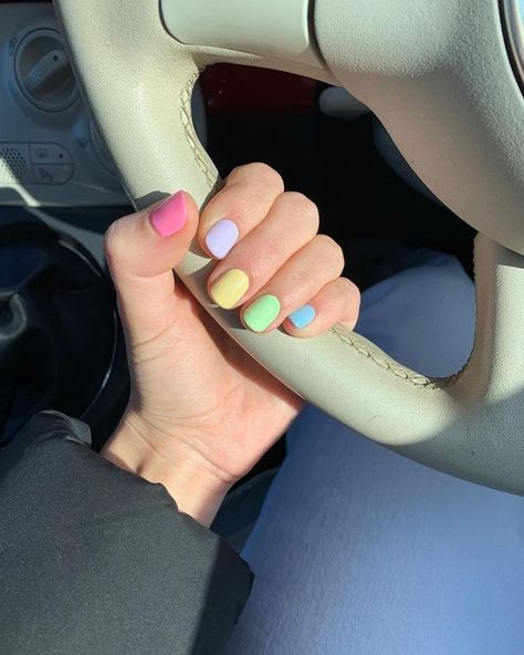 Pastel Natural Nails, Mixed Color Nails, Summer Pastel Nails, Multi Color Nails, Sculpture Gel Nails, Multi Colored Nails, Multicoloured Nails, Nail Poses, Pastel Color Nails