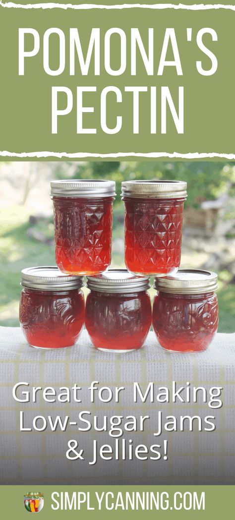 Using Pomona's Universal Pectin is a great way to cut sugar in homemade jam and jelly recipes. It comes with a pouch of pectin and a pouch of calcium (for making calcium water). Learn more at #SimplyCanning. #PomonasUniversalPectin Jam And Jelly Recipes, Low Sugar Jam Recipes, Muscadine Jelly, Homemade Grape Jelly, Rhubarb Jelly, Pectin Recipes, Rhubarb Jam Recipes, Cut Sugar, Low Sugar Jam