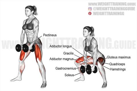 Lower Body Exercises Weights, Dumbell Squats, Crossfit Body, Human Muscle Anatomy, Cable Workout, Exercise Plans, Best Workout Plan, Glute Exercises, Muscle Anatomy