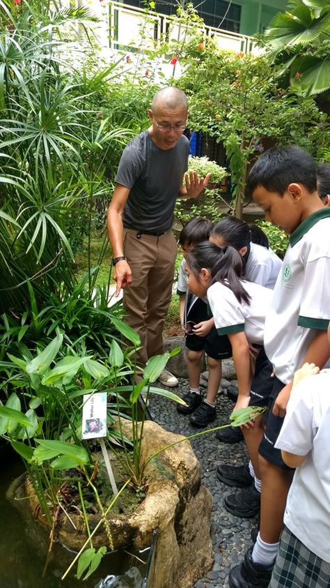 Greening Schools for Biodiversity - Community in Nature Initiative - Biodiversity - National Parks Board (NParks) Planting Layout, School Kitchen, School Journals, Creative Calendar, Plant Study, Natural Farming, Nature School, Cafe Branding, Children Sketch