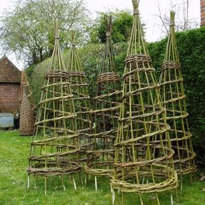 Willow Garden, Garden Obelisk, Garden Vines, Tower Garden, Tomato Cages, Most Beautiful Gardens, Garden Trellis, Garden Structures, Veggie Garden