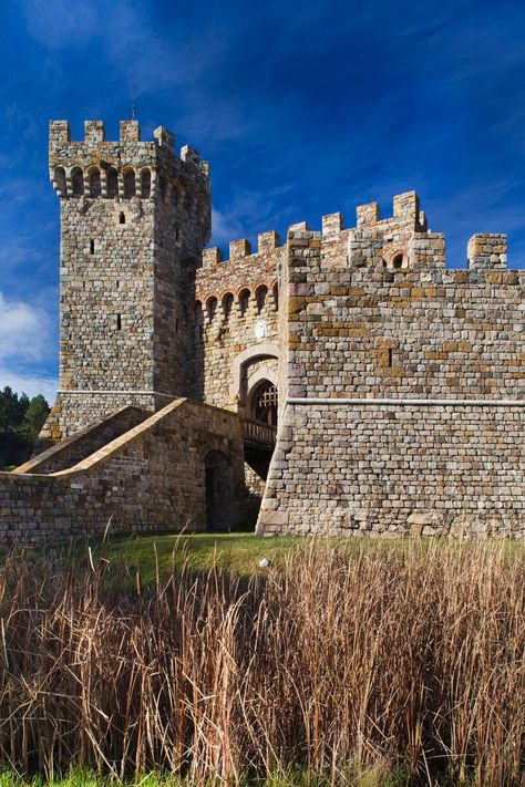 american castles Castles In America, Tuscan Castle, American Castles, Boldt Castle, Kilkenny Castle, Aztec Ruins, Castles To Visit, Castles In Ireland, Castle House