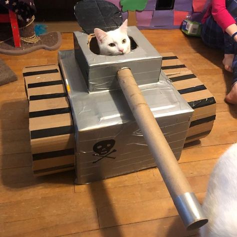 Cat Boxes Diy, Diy Cat Cardboard Ideas, Cardboard Crafts For Cats, Cardboard Box Ideas For Cats, Cardboard Diy For Cats, Diy Cat Stuff Cardboard, Cat Cardboard Box Ideas, Things To Make Out Of Cardboard, Cardboard Box Cat Tower