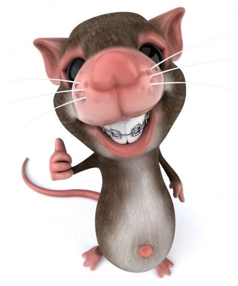 Ur momma Mouse Pictures, Lol Memes, Goofy Pictures, Little Mouse, Silly Images, Funny Reaction Pictures, Silly Pictures, Really Funny Pictures, Reaction Pictures