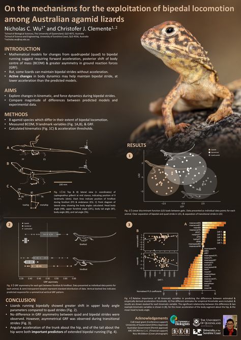 Nicholas Wu on Twitter: "PowerPoint slaps… " Academic Poster Design, Australia School, Scientific Poster Design, Academic Poster, Student Presentation, Make A Poster, Conference Poster, Scientific Poster, Research Poster