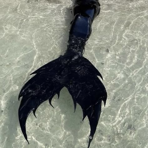 Ocean Alien, Mermaid Tail Aesthetic, Black Mermaid Tail, Siren Tail, Realistic Mermaid, Black Siren, Dark Mermaid, Siren Mermaid, Catty Noir