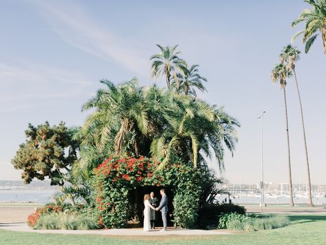 San Diego Courthouse Wedding | Downtown Waterfront Elopement San Diego Courthouse Wedding, San Diego Elopement, Courthouse Wedding San Diego, Sf Courthouse Wedding San Francisco, San Diego Courthouse, San Diego Elopement Locations, Santa Barbara Courthouse Elopement, Dekalb County Courthouse Wedding, Moving To San Diego