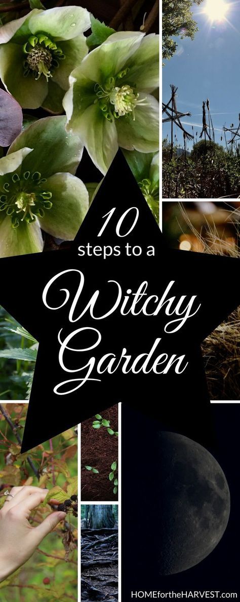 How to Create a Witchy Garden - Grow your own witch's garden by the moonlight with herbs and other magical plants | Home for the Harvest Rare Herbs To Grow, Goth Garden Design, Witch’s Garden, Witchy Garden Aesthetic, Small Secret Garden Ideas, Magical Backyard, Witches Garden, Witch's Garden, Creepy Crafts