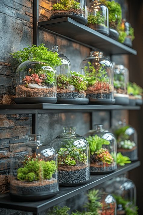 19 Fun and Playful Indoor Gardening Ideas for a Cheerful Vibe Indoor Gardening Ideas, Indoor Gardening, Air Plants, Gardening Ideas, Low Maintenance, Terrarium, Shelves, Plants, Design