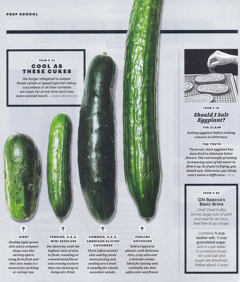 Different types of cucumbers Types Of Cucumbers To Grow, Growing Mini Cucumbers, Types Of Cucumbers, Egypt Garden, Diy Veggie Garden, How To Pickle Cucumbers, Pickle Cucumbers, Organize Recipes, Pork Bone Soup