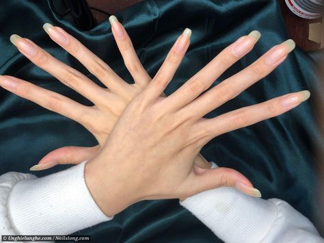 Slim Hands And Fingers Aesthetic, Long Fingers Aesthetic, Long Slim Fingers, Slim Fingers, Slender Fingers, Slim Hands, Long Fingers, Long Natural Nails, Natural Gel Nails