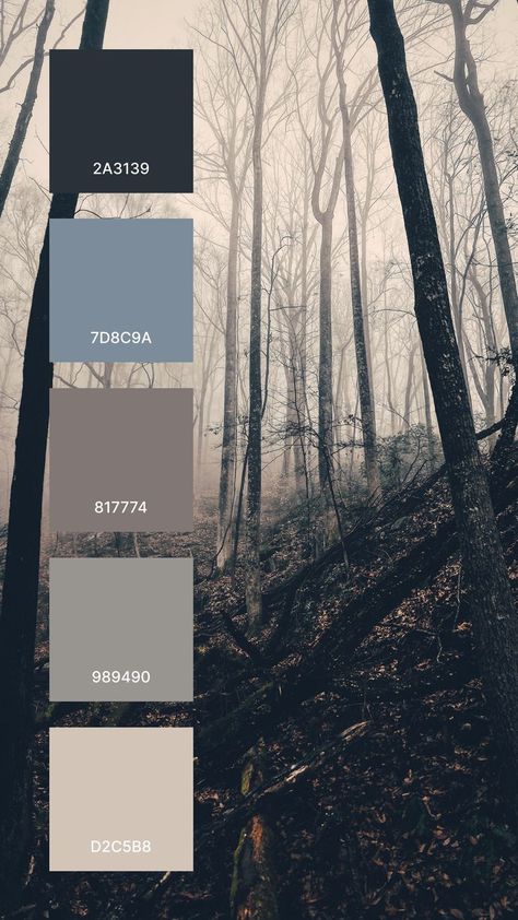 Grayscale baretrees Photo By Matthew Smith Dark Grey Pallet Colour Palettes, Grayscale Color Palette, Stormy Color Palette, Grey Complimentary Colors, Grey Color Combinations, Grey Color Pallets, Grey Colour Palette, Grey Colour Scheme, Matthew Smith