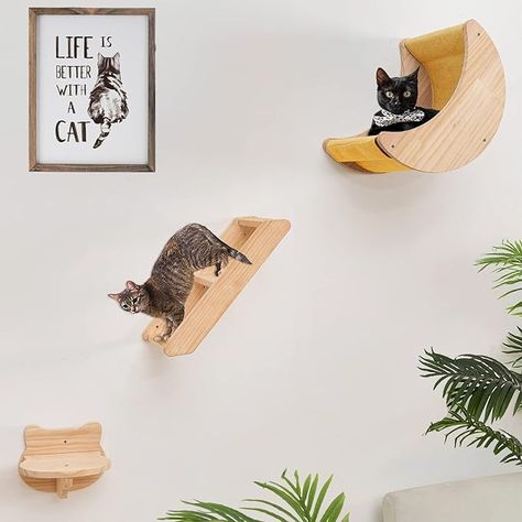 Wall Hammock, Wooden Pet Bed, Cat Climbing Shelves, Cat Stairs, Cat Shelf, Pet Things, Cat Wall Shelves, Cat Wall Furniture, Cat House Diy