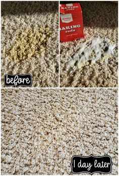 How to Remove Old and New Carpet Pet Stains Homemade Carpet Cleaner, Cleaning Pet Urine, Cleaning Carpet Stains, My Heavenly Recipes, Pee Stains, Remove Pet Stains, Diy Stain Remover, Heavenly Recipes, Stain Remover Carpet