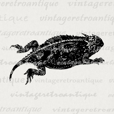 Horned Toad, Frosch Illustration, Frog Illustration, Illustration Graphic, Printable Image, Vintage Artwork, Toad, Paper Background, Art Vintage