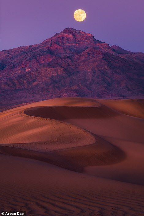 Nature Photography Wallpaper, Full Moon Rising, National Photography, Moon Rise, Photography Wallpaper, Desert Landscaping, Sand Dunes, Landscape Photographers, Full Moon