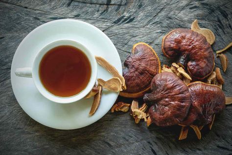 Reishi Mushroom Tea, Mushroom Varieties, Mushroom Benefits, Turkey Tail Mushroom, Mushroom Tea, Chaga Mushroom, Dried Mushrooms, Mushroom Coffee, Reishi Mushroom