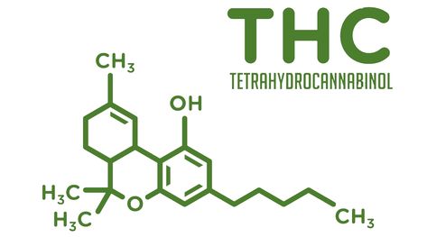 Take a sneaky peek behind the velvet curtain, where we're diving deep into the enigma of the THC molecule. Decoding its complexities and all the hush-hush science-y bits. Come join the soiree and elevate your know-how, only at https://etherealgolddispensary.com/blogs/news/explaining-the-complexities-of-the-thc-molecule #THCSpeakeasy #EtherealGoldSecrets #BehindTheVelvetCurtain #MoleculeMysteries Enigma Tattoo, Molecule Design, Tattoo Design Book, Design Book, 2025 Vision, The Velvet, The Human Body, Tattoos Ideas, Hush Hush