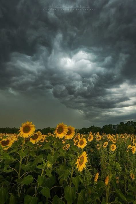 Storm Wallpaper, Storm Pictures, Storm Photography, Stormy Sky, Hapkido, Dark Clouds, Dark Sky, Stormy Weather, Cloudy Sky