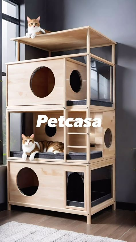 Instagram Wooden Cat House Indoor, Catios Ideas For Cats, Cat Condo Diy, Houses For Cats, Diy Cat House, Cat Climbing Wall, Cat Furniture Design, Wooden Cat House, Niche Chat