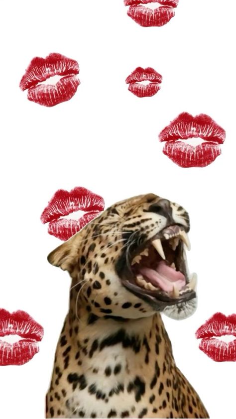 Tiger Background Wallpapers, Tiger Background, Cheetah Print Background, Cheetah Wallpaper, Pink And Black Wallpaper, Leopard Print Background, Leopard Print Wallpaper, Cheetah Print Wallpaper, Cute Dreads