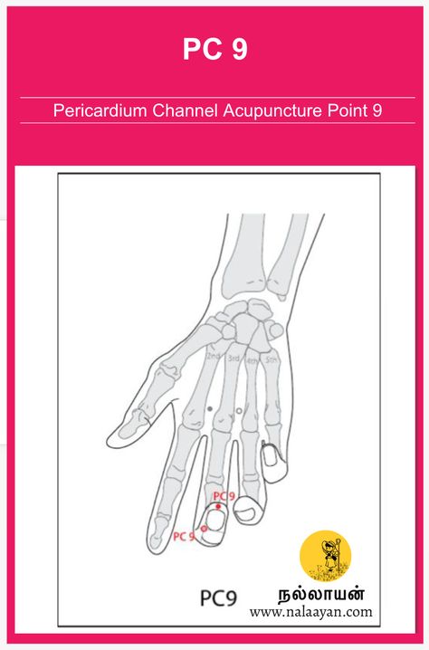 PC 9 Acupuncture Point Acupuncture Point, Acupuncture Points, Acupressure, Acupuncture, The Middle