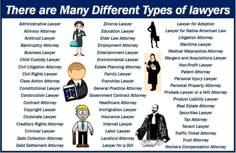 Different Types Of Lawyers, Types Of Lawyers, Paralegal Studies, Law School Organization, Law School Preparation, Law Study, Law Career, Law School Prep, Law Aesthetic