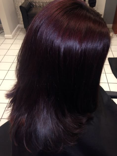 Cherry Dark Red Hair, Black Red Hair Color, Reddish Black Hair, Plum Black Hair, Dark Red Purple Hair, Merlot Hair, Plum Hair Color, Pelo Color Vino, Black Cherry Hair Color