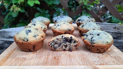 Vegan Elderberry Muffins Recipe Elderberry Muffins, Edible Fungi, Elderberry Recipes, Food Cost, Unsweetened Applesauce, Survival Food, Flower Food, Wild Food, Vegan Condiments