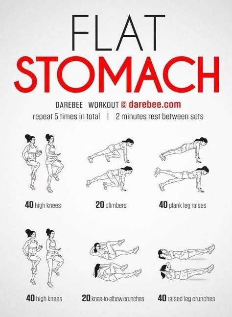 Abb Workouts, Toned Stomach, Flat Stomach Workout, Workout For Flat Stomach, Home Workout Plan, Quick Workout Routine, Workout Stuff, Body Workout Plan, At Home Workout Plan