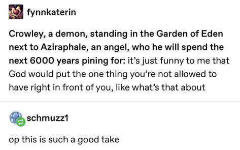 Good Omens Tumblr, Bad Omens, Good Omens Book, I Forgive You, Ineffable Husbands, Terry Pratchett, Good Omens, Michael Sheen, Neil Gaiman