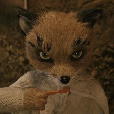 Ash Fantastic Mr Fox icon Ash Fox, Mr Fox Wallpaper, Mr Fox Movie, Fantastic Mr Fox Movie, Fox Icon, Fantastic Fox, Mister Fantastic, Wes Anderson Movies, Wes Anderson Films