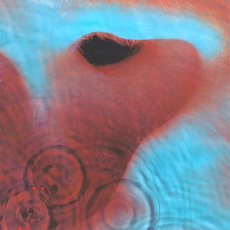 Pink Floyd Album Art, 70s Album Covers, Pink Floyd Echoes, Pink Floyd Meddle, Pink Floyd Cover, Pink Floyd Record, Pink Floyd Album Covers, Atom Heart Mother, Pink Floyd Albums