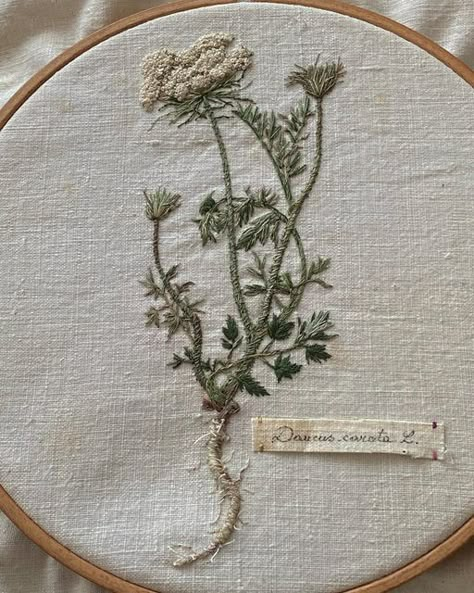 Yarrow Embroidery, Embroidered Greenery, Camera Embroidery, Moss Embroidery, Embroidery Botanical, Embroidery Leaves, Herb Embroidery, Have A Beautiful Sunday, Botanical Embroidery