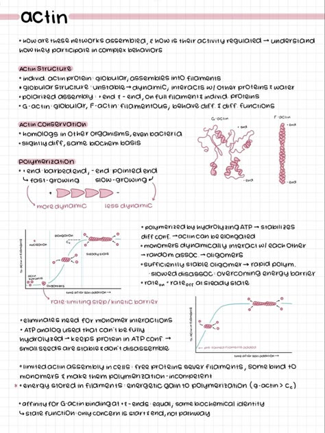 Online Notes Aesthetic Computer, Good Notes Notes Aesthetic, Aesthetic Notes Study Inspiration Ipad, I Pad Notes Aesthetic, Biology Notes Ipad, Pretty Ipad Notes, Goodnotes Inspo Notes, Notability Notes Ideas, Aesthetic Notes On Ipad