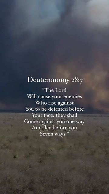 Deuteronomy 28:7, Deuteronomy 28 Blessings, Deuteronomy 28, Joy Peace Love, Christ Consciousness, Conscious Mind, Scripture Of The Day, Blessed Mother Mary, Verses Quotes