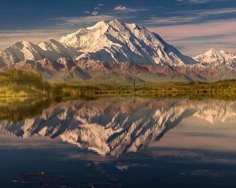 Amazing Reflections Of Mount McKinley! Photo Taken By @philokalia_ On Instagram. Mt Denali, Mount Mckinley, Denali National Park, Adventure Explore, Travel Bucket List, Dream Life, Places To See, Alaska, Beautiful Places