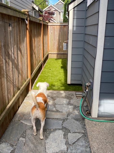 Backyard Dog Area Ideas Side Yards, Side Yard Dog Area, Small Pet Friendly Backyard Ideas, Yard Landscaping Dog Friendly, Small Yard Dog Area, Side Yard Dog Run Ideas, Narrow Dog Run Side Yards, Side Yard Ideas Narrow Between Houses, Small Side Yard Ideas