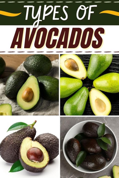 There are 17 different types of avocados, and all are totally delicious! From Hass to Bacon to Joey, each variety has its own unique characteristics. Mashed Avocado Recipes, Best Way To Eat Avocado, Types Of Avocado, Roasted Avocado Halves, Growing Avocados, How Do You Know When An Avacado Is Ready, Avocado Types, Healthy Fall Soups, Avocados From Mexico