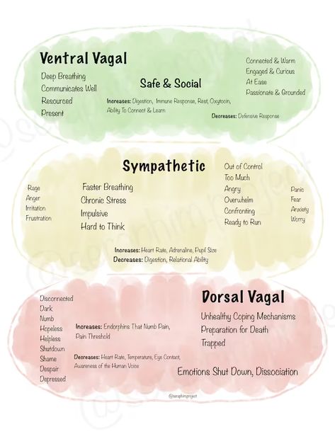 Polyvagal Nervous System States Reference Sheet Soft - Etsy Vegas Nerve, Dorsal Vagal, Therapist Tools, Buddhism Beliefs, Polyvagal Theory, Psychology Studies, Clinical Social Work, Soft Watercolor, Vagus Nerve