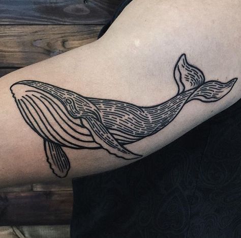 Whale by @sashatatooing Whale Arm Tattoo, Tattoo Whale, Aquatic Tattoo, Aesthetic Tattoo Ideas, 15 Aesthetic, Whale Tattoo, Woodcut Tattoo, Linework Tattoo, Whale Tattoos