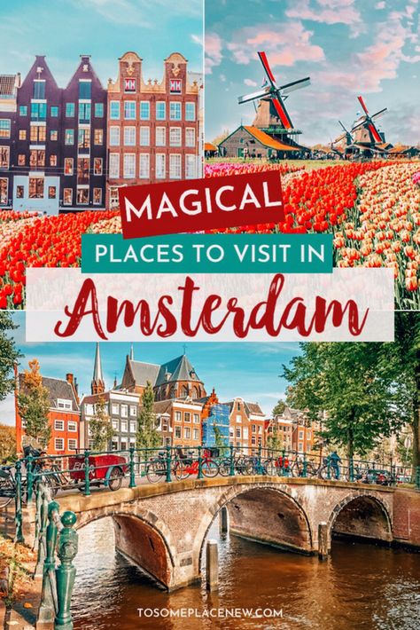 2 Days In Amsterdam, Amsterdam Vacation, Amsterdam Itinerary, Amsterdam Travel Guide, Visit Amsterdam, Couple Travel, Netherlands Travel, Amsterdam Travel, Voyage Europe